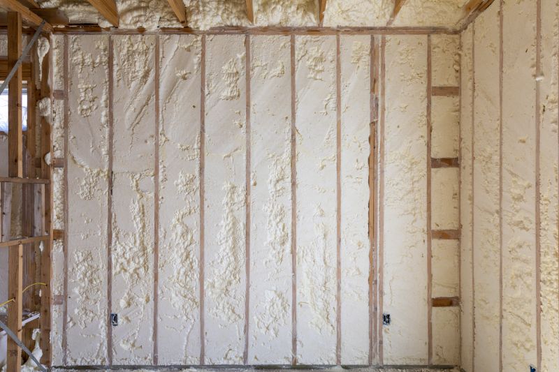 Insulation Replacement in Bastrop, TX